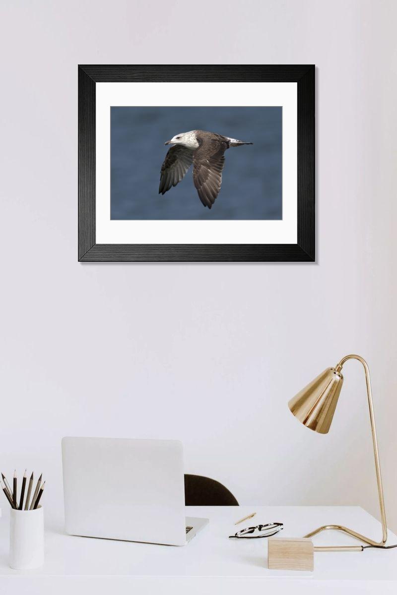 Shown hanging in a room: Modern 14"x12" (36x31cm)