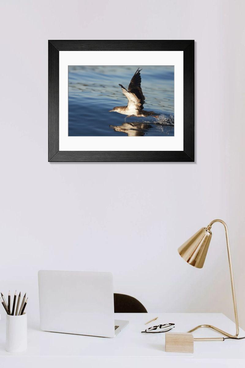 Shown hanging in a room: Modern 14"x12" (36x31cm)