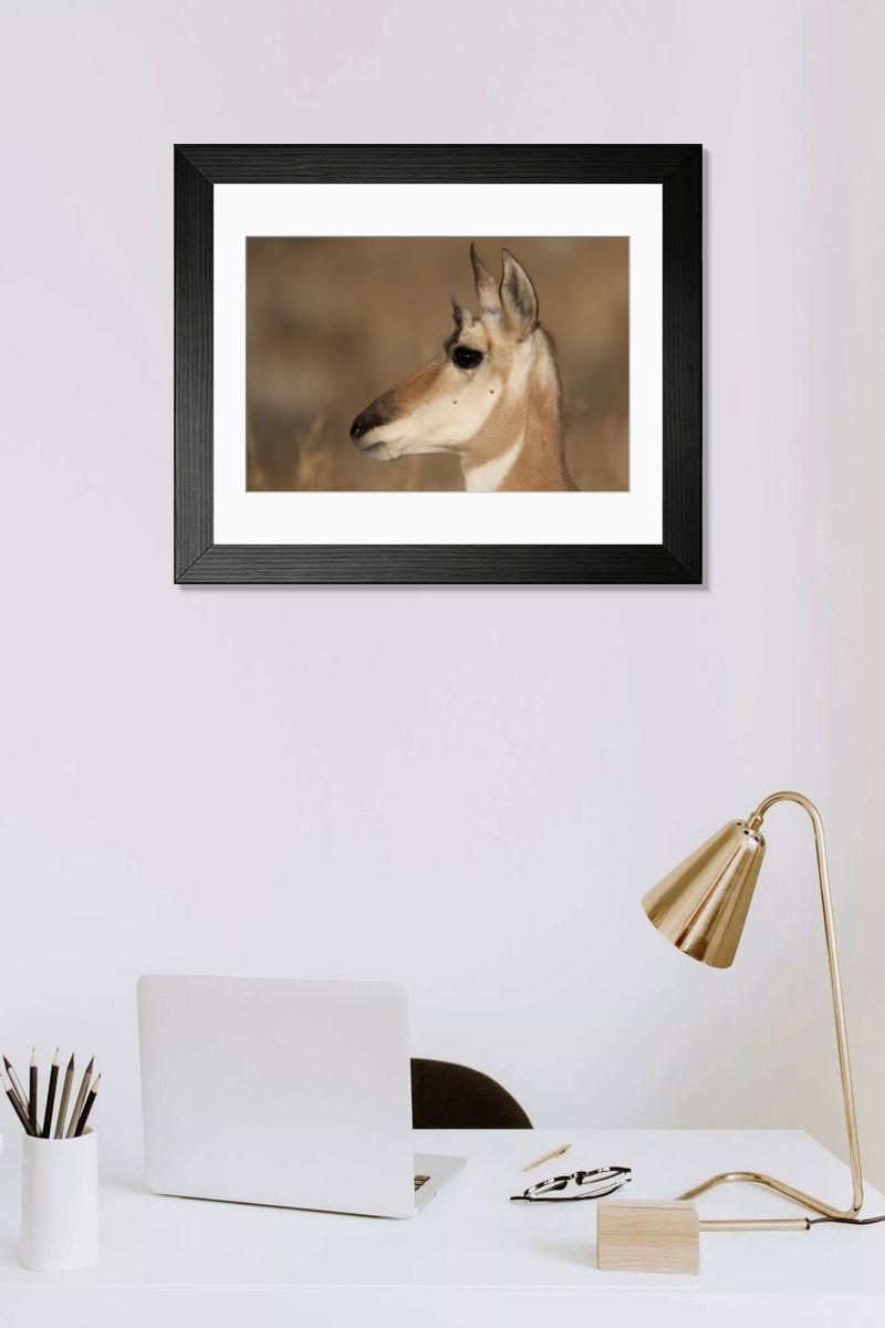 Shown hanging in a room: Modern 14"x12" (36x31cm)