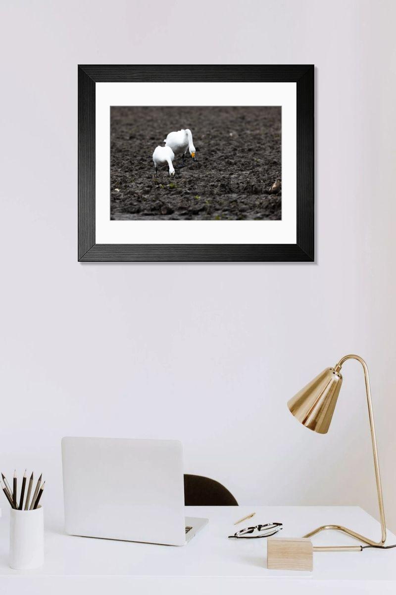 Shown hanging in a room: Modern 14"x12" (36x31cm)