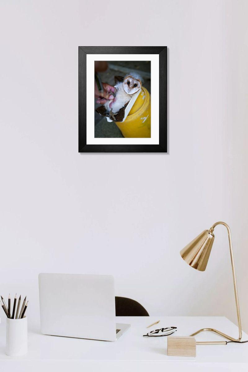 product preview 0
