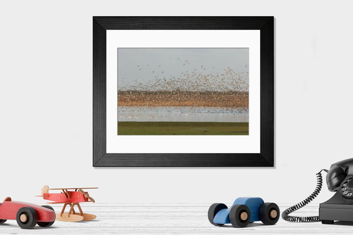 Shown hanging in a room: Modern 14"x12" (36x31cm)