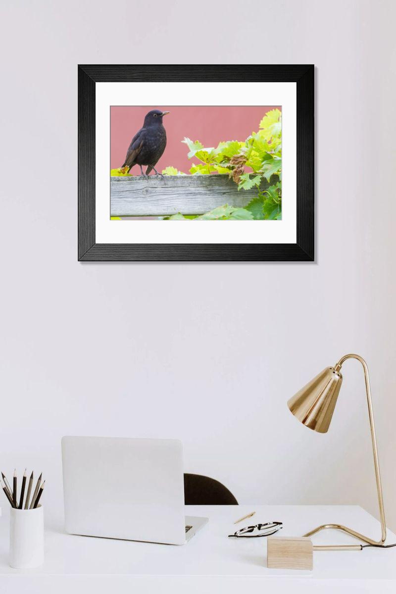 Shown hanging in a room: Modern 14"x12" (36x31cm)