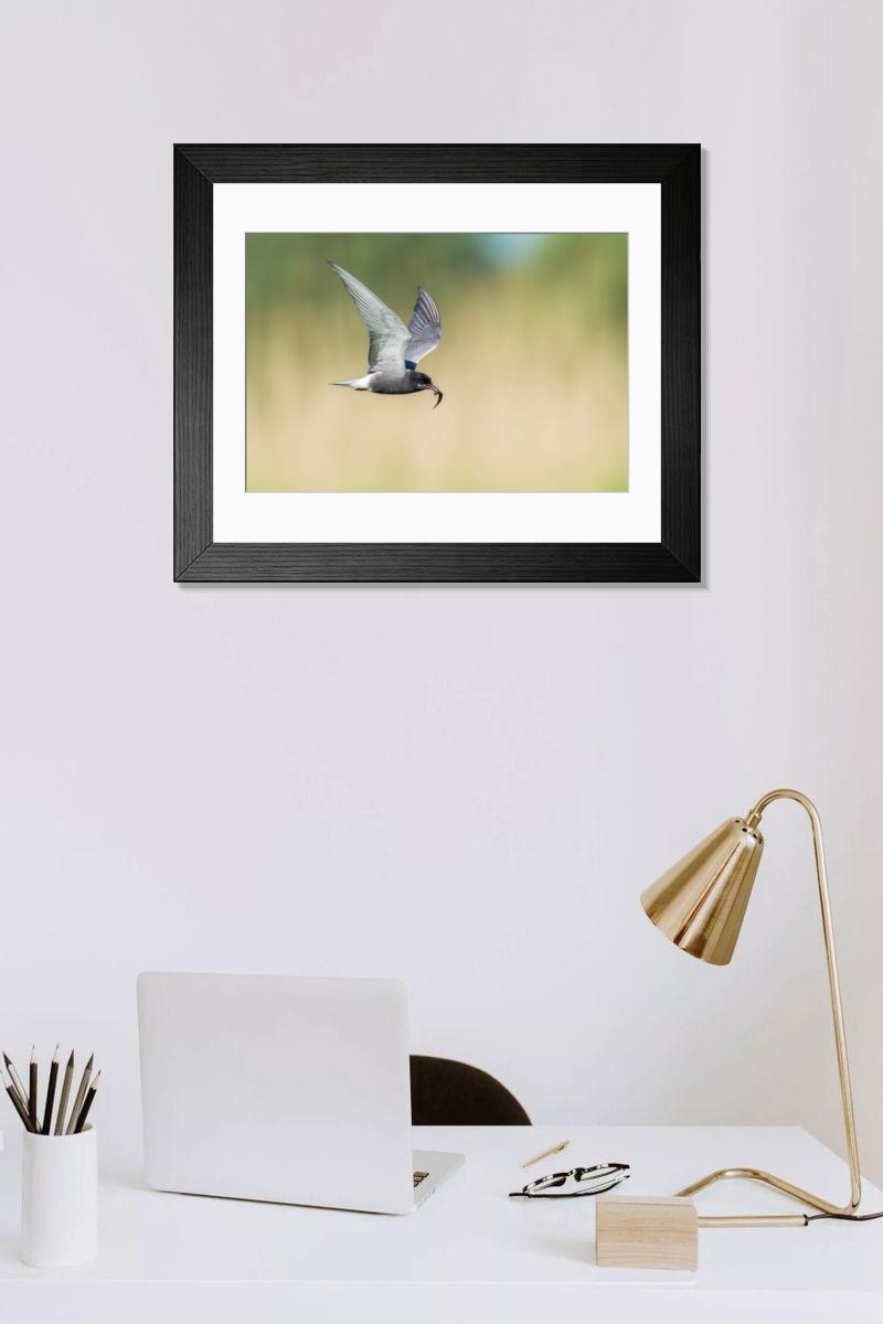 Shown hanging in a room: Modern 14"x12" (36x31cm)