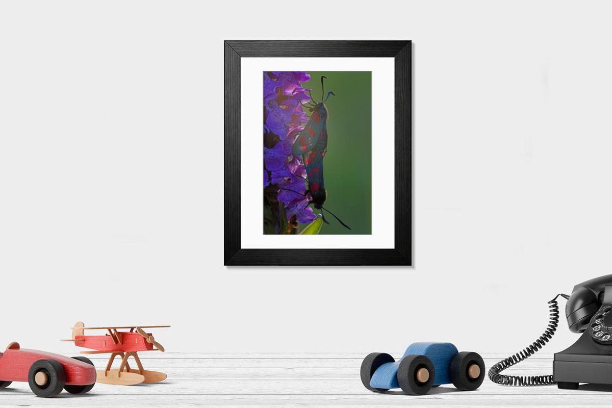 product preview 0
