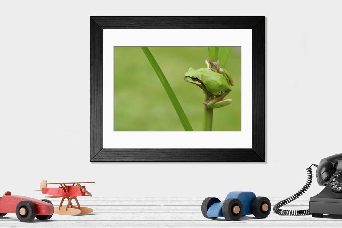 product preview 0