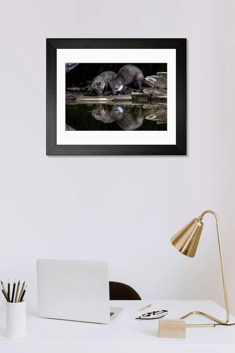 product preview 0