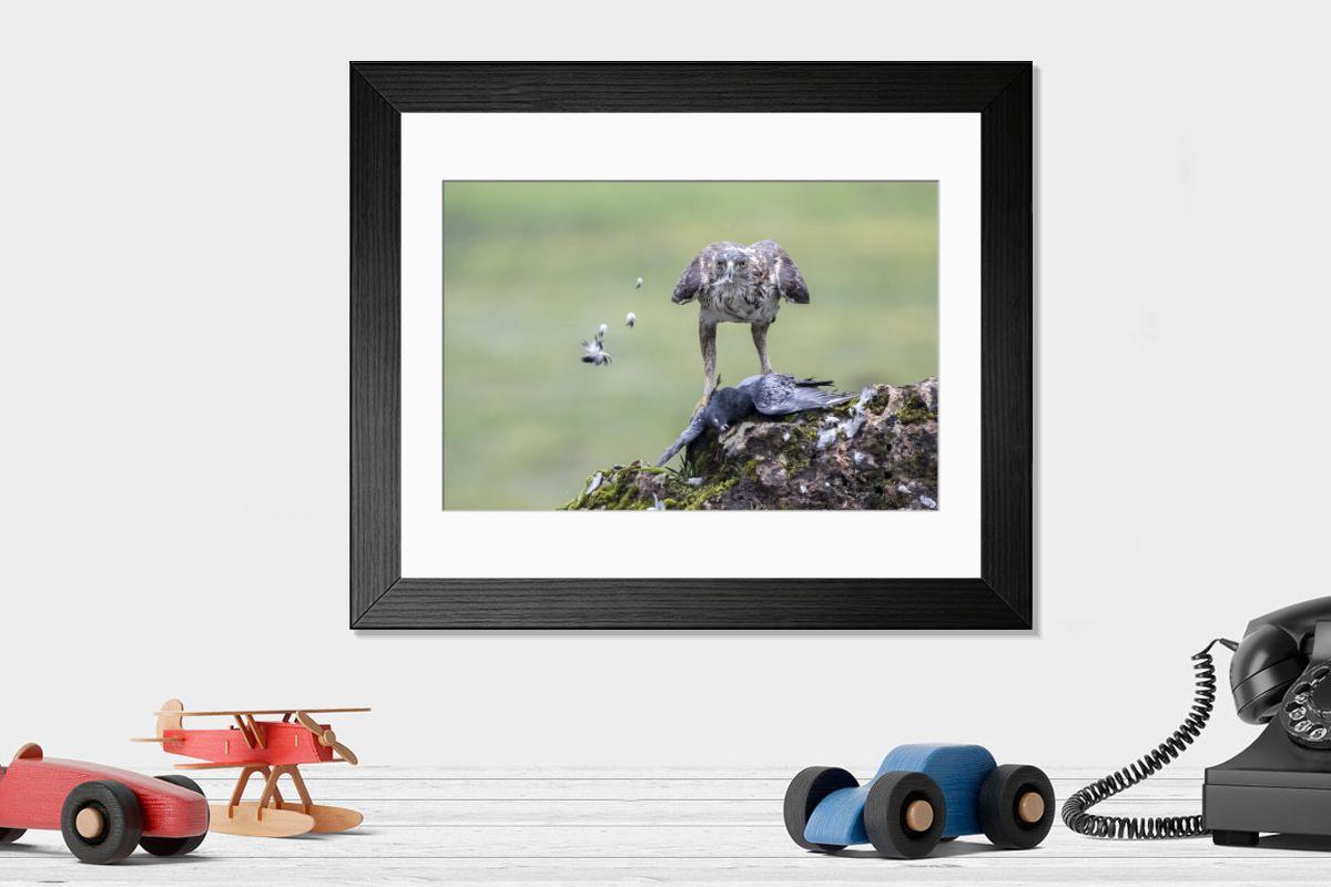 product preview 0