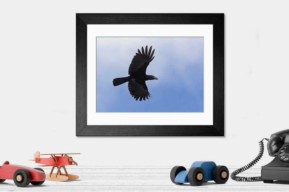 Shown hanging in a room: Modern 14"x12" (36x31cm)
