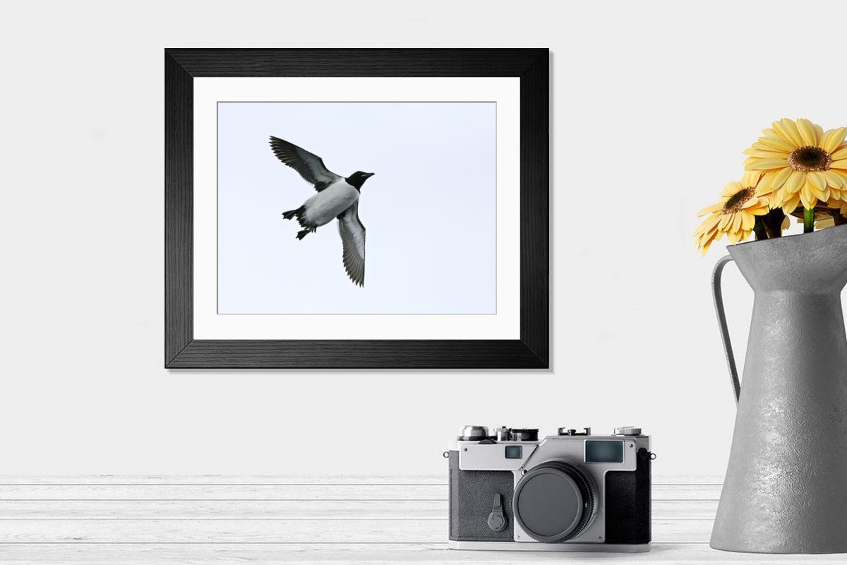 Shown hanging in a room: Modern 14"x12" (36x31cm)