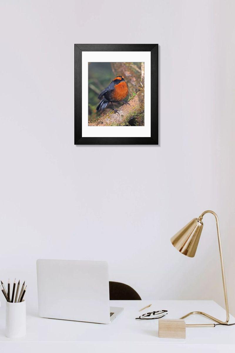 Shown hanging in a room: Modern 14"x12" (36x31cm)