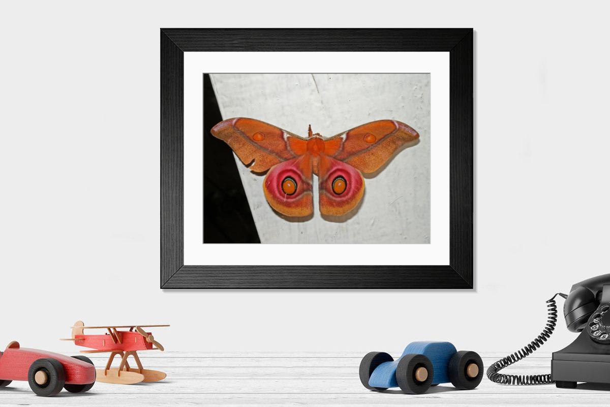 Shown hanging in a room: Modern 14"x12" (36x31cm)