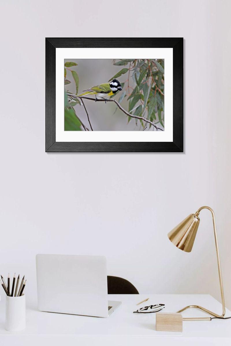 product preview 0