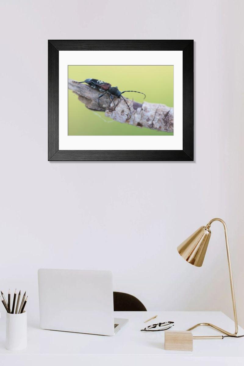 Shown hanging in a room: Modern 14"x12" (36x31cm)