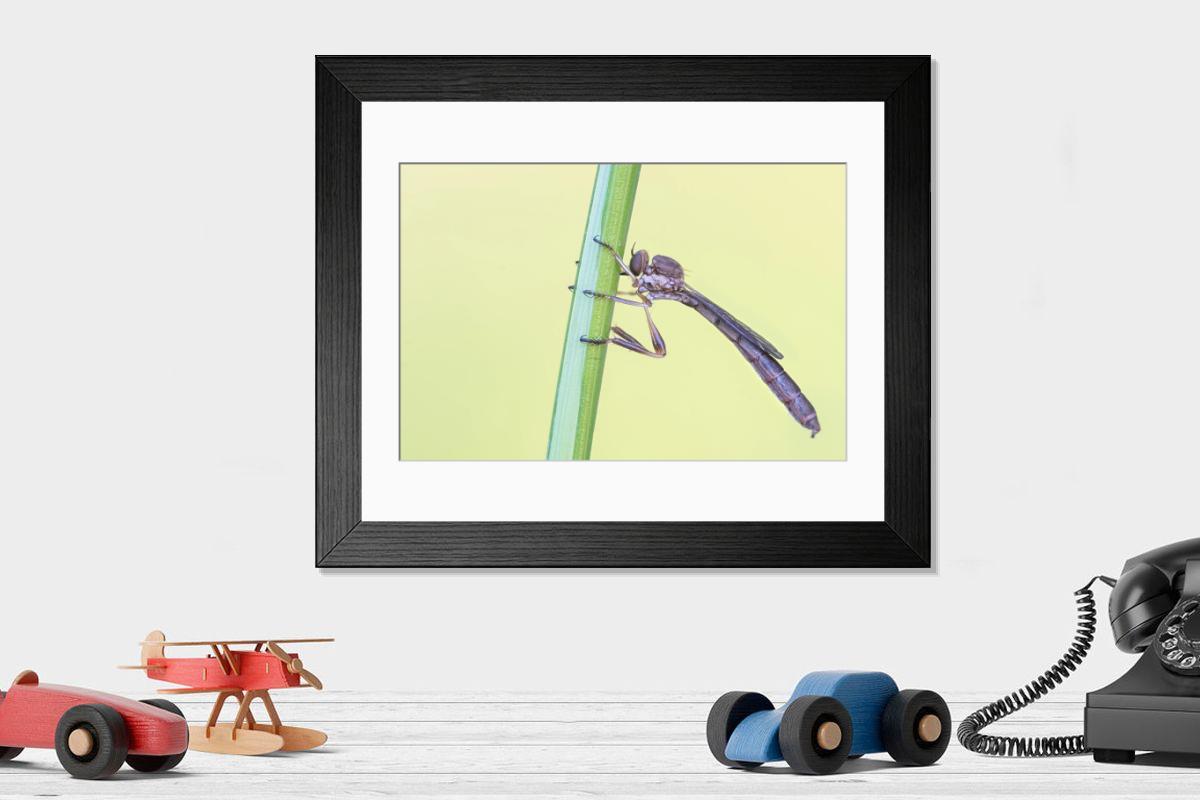 product preview 0
