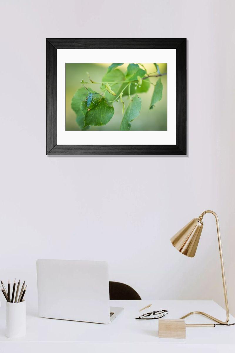 product preview 0