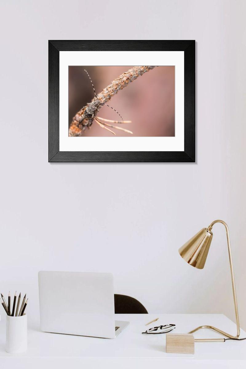 Shown hanging in a room: Modern 14"x12" (36x31cm)