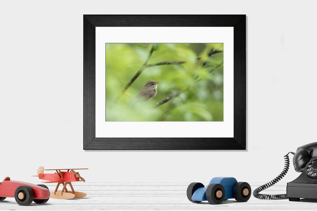 product preview 0