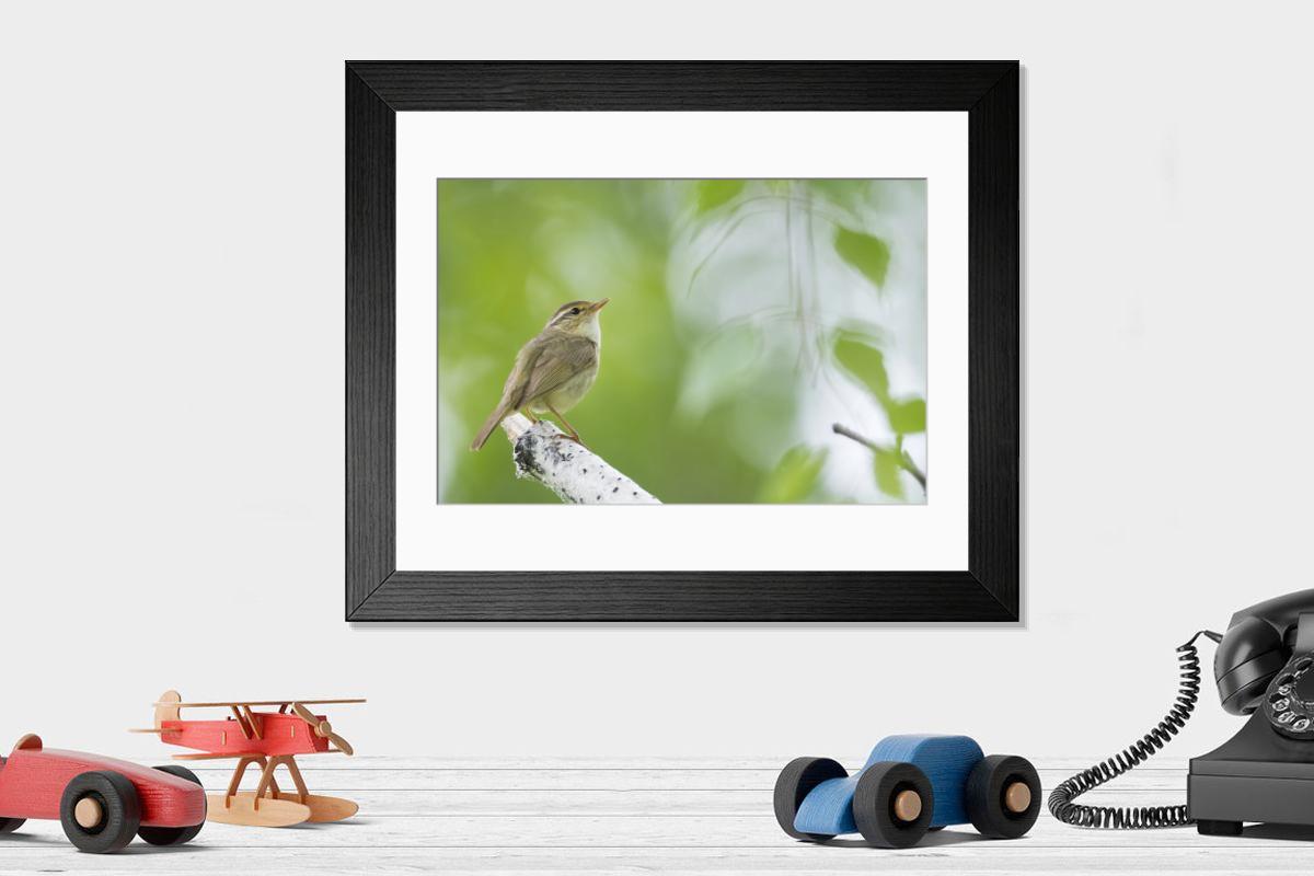 product preview 0