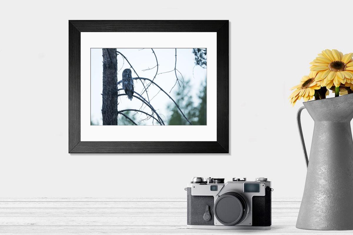 product preview 0