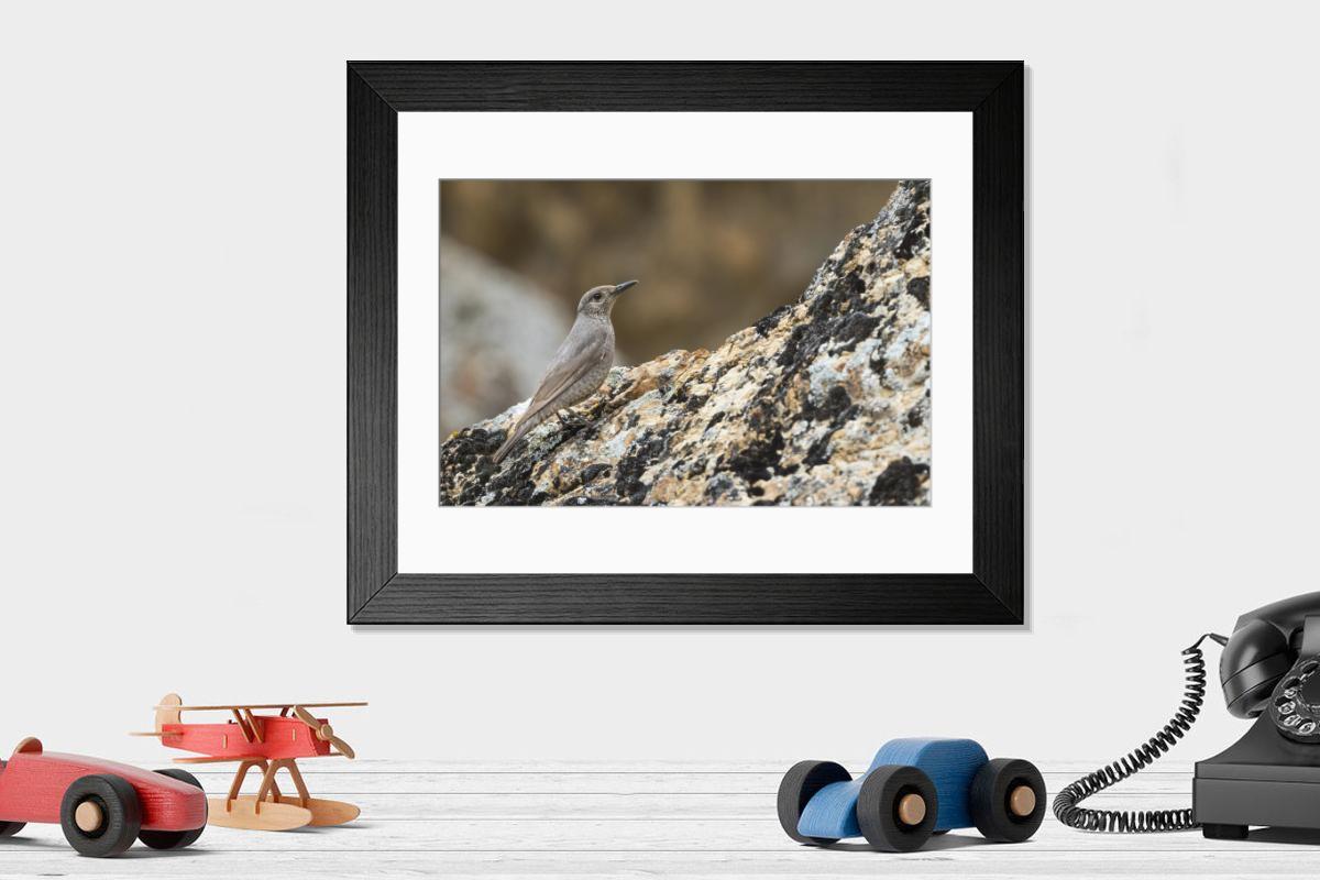 Shown hanging in a room: Modern 14"x12" (36x31cm)