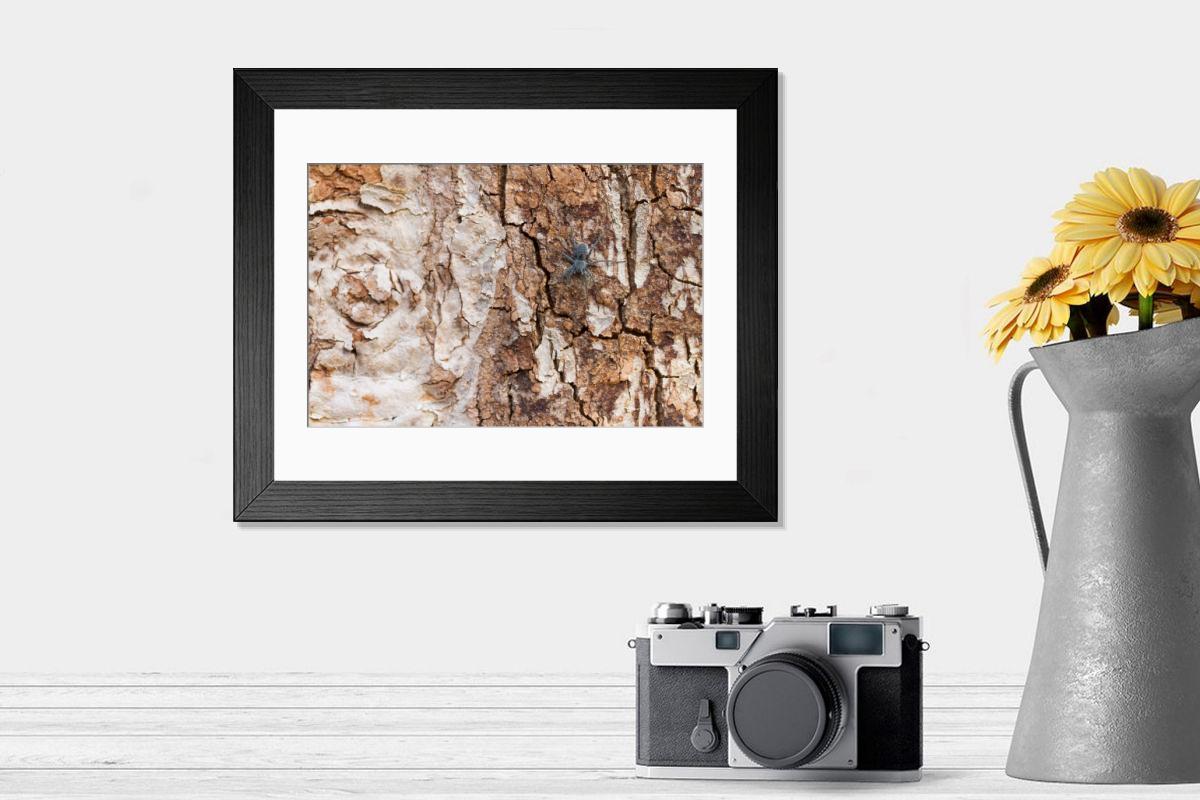 Shown hanging in a room: Modern 14"x12" (36x31cm)