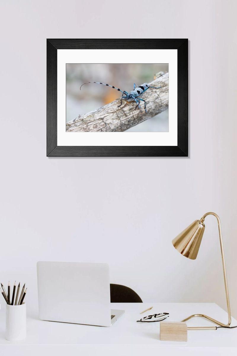 product preview 0