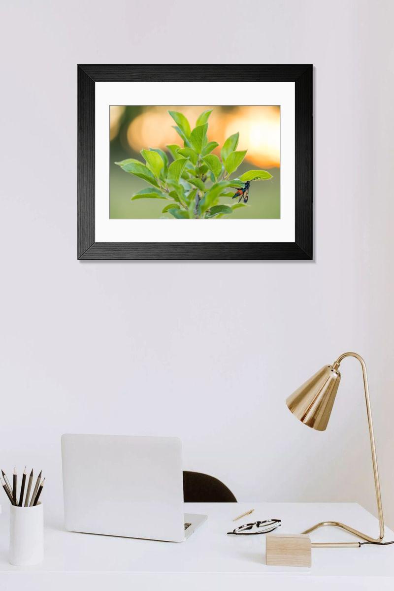 product preview 0