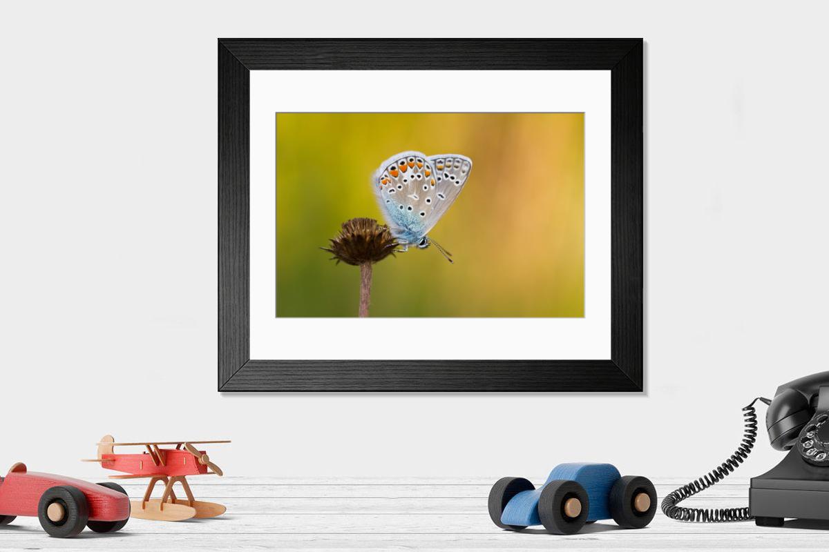Shown hanging in a room: Modern 14"x12" (36x31cm)