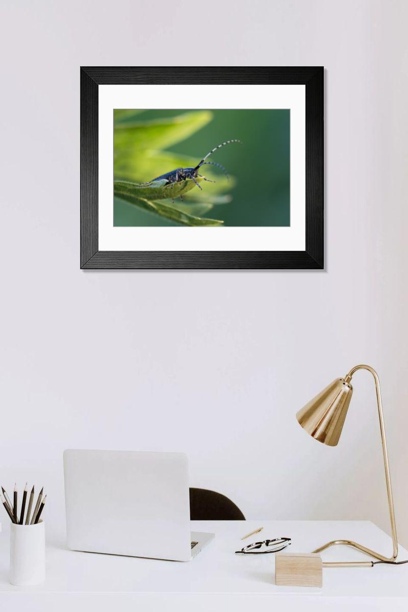 product preview 0