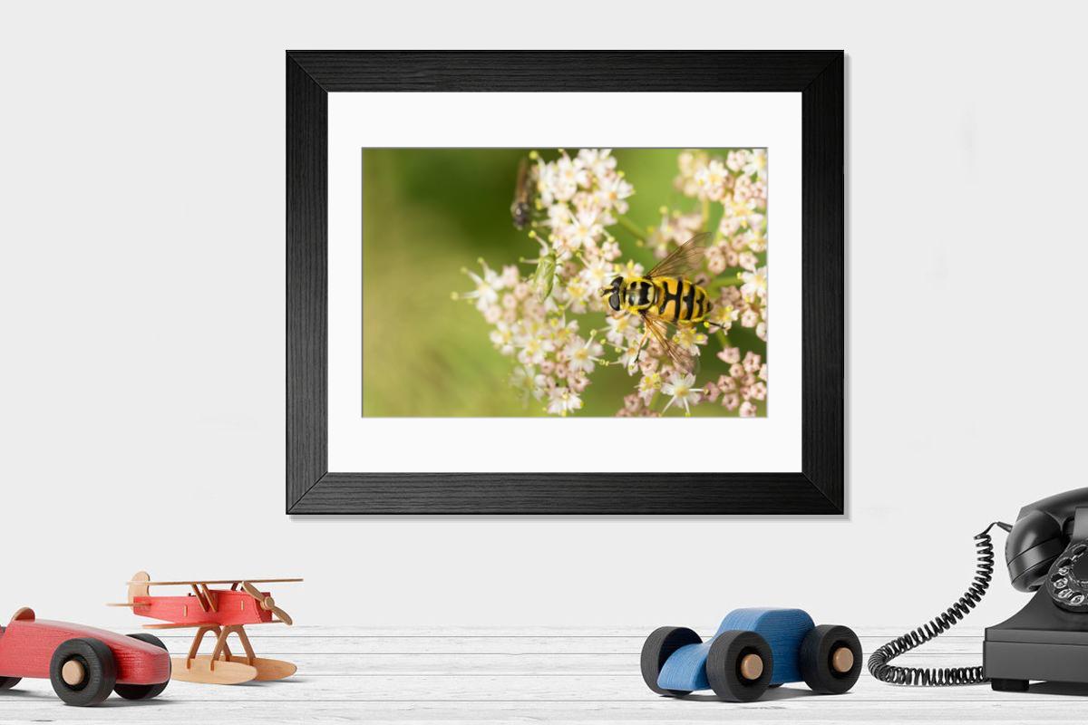 product preview 0