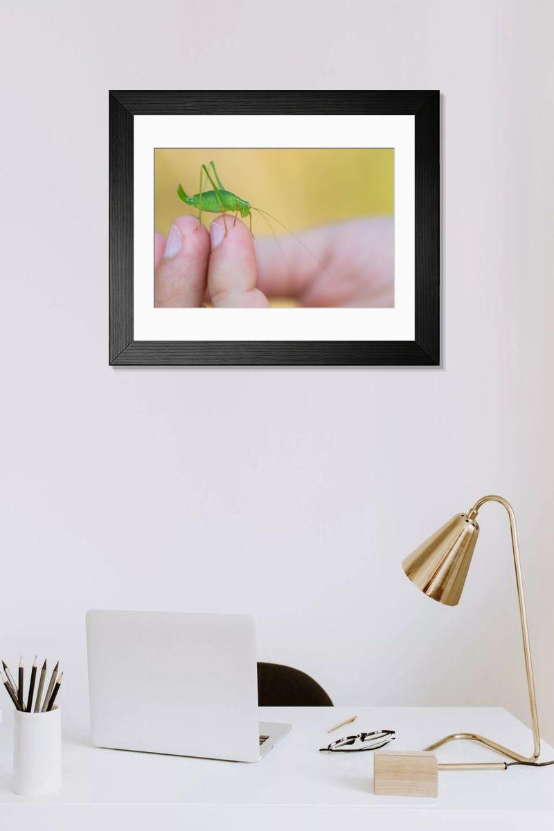 product preview 0