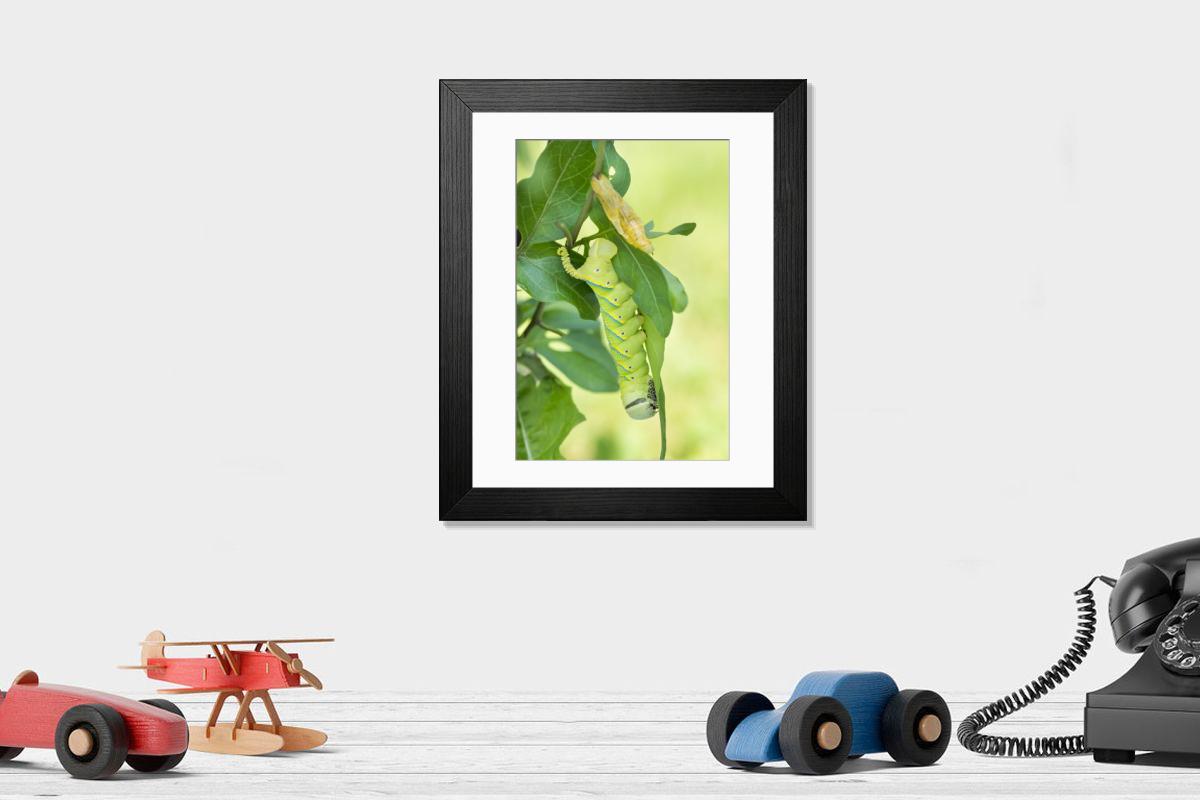 product preview 0