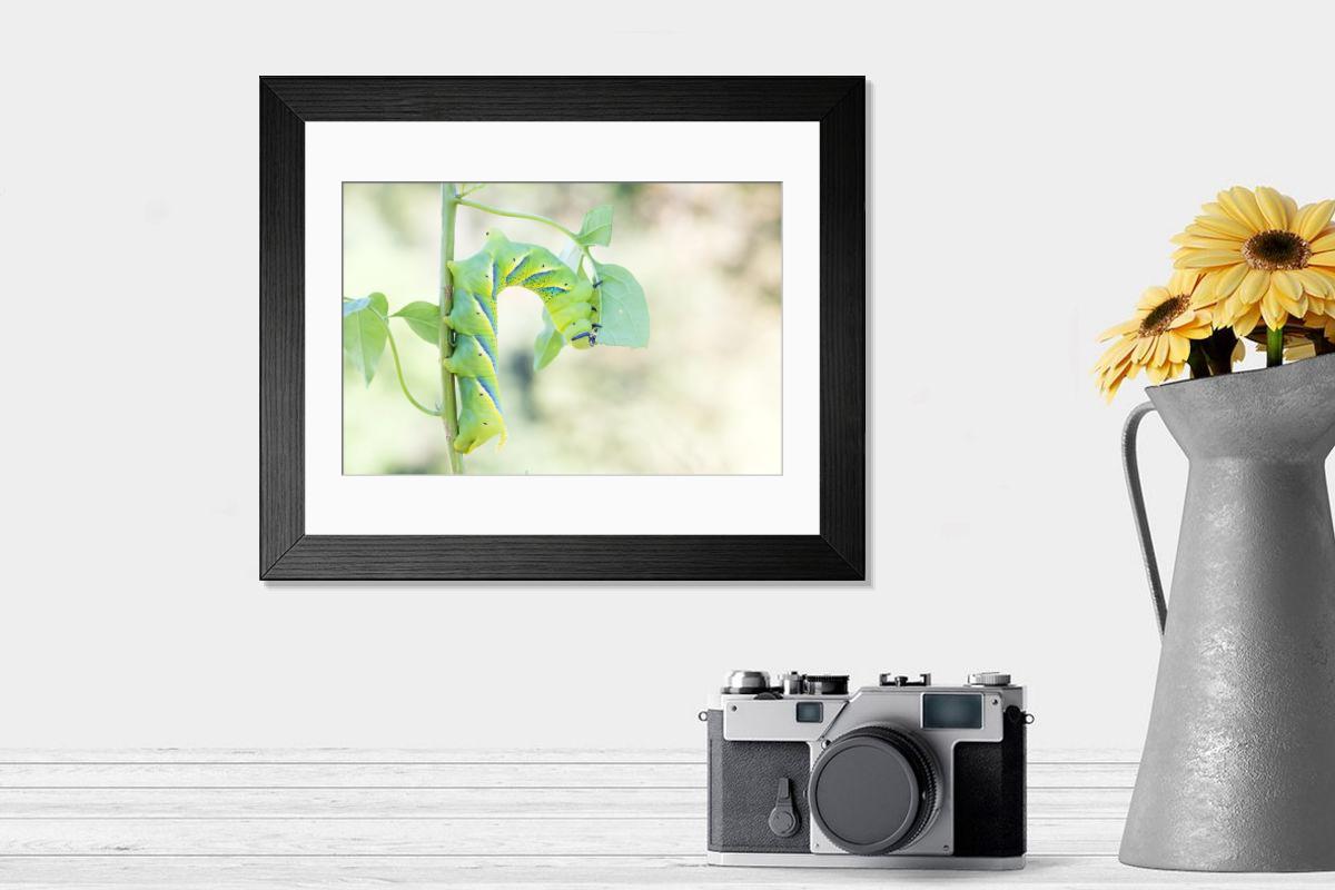 product preview 0