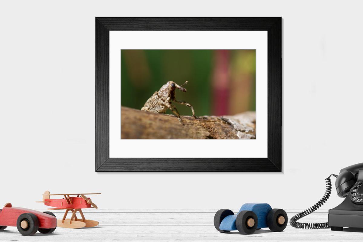 product preview 0