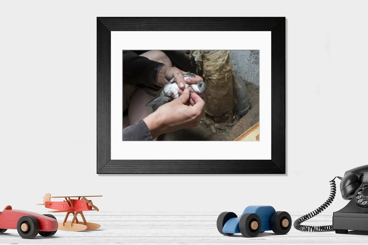 product preview 0