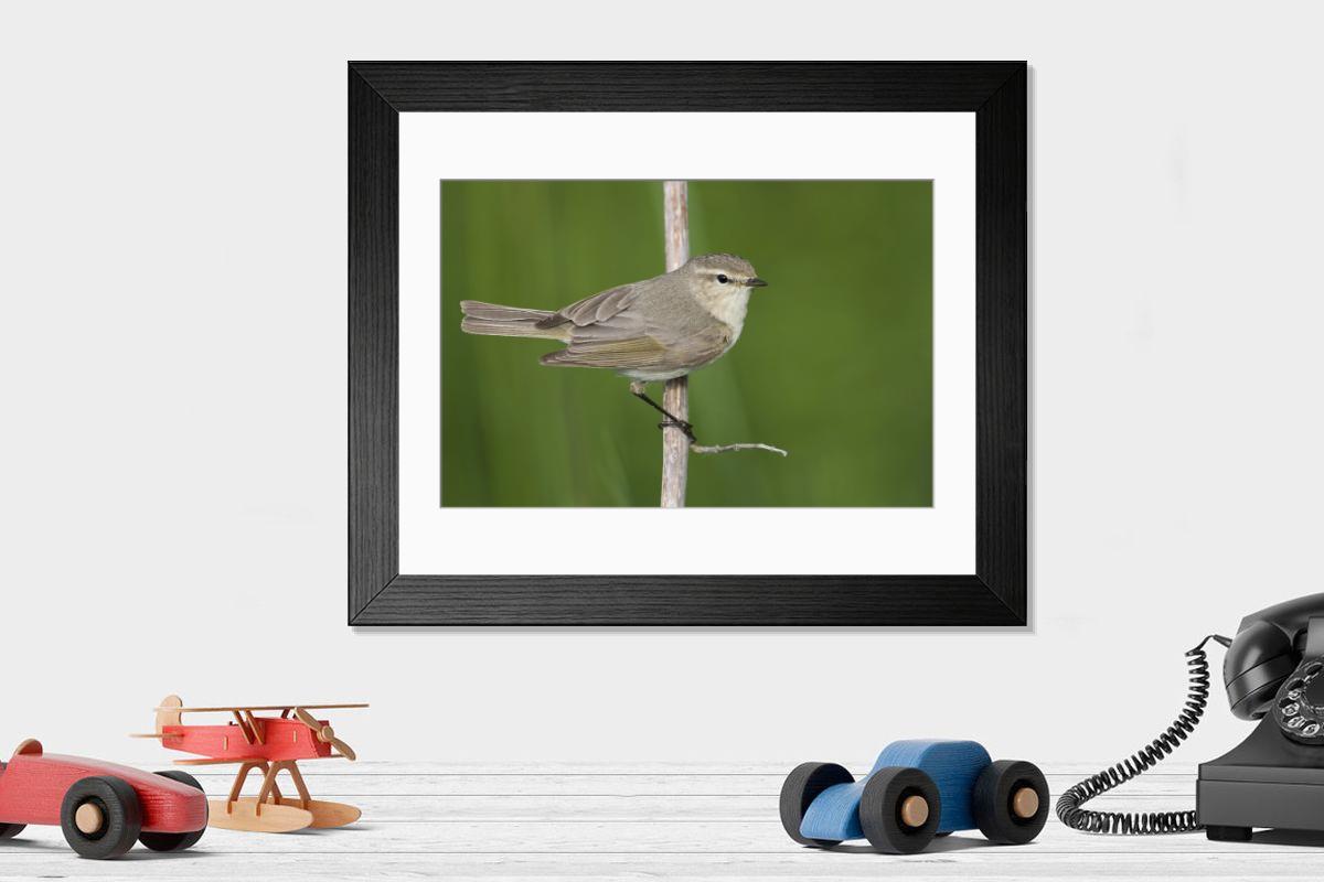 Shown hanging in a room: Modern 14"x12" (36x31cm)
