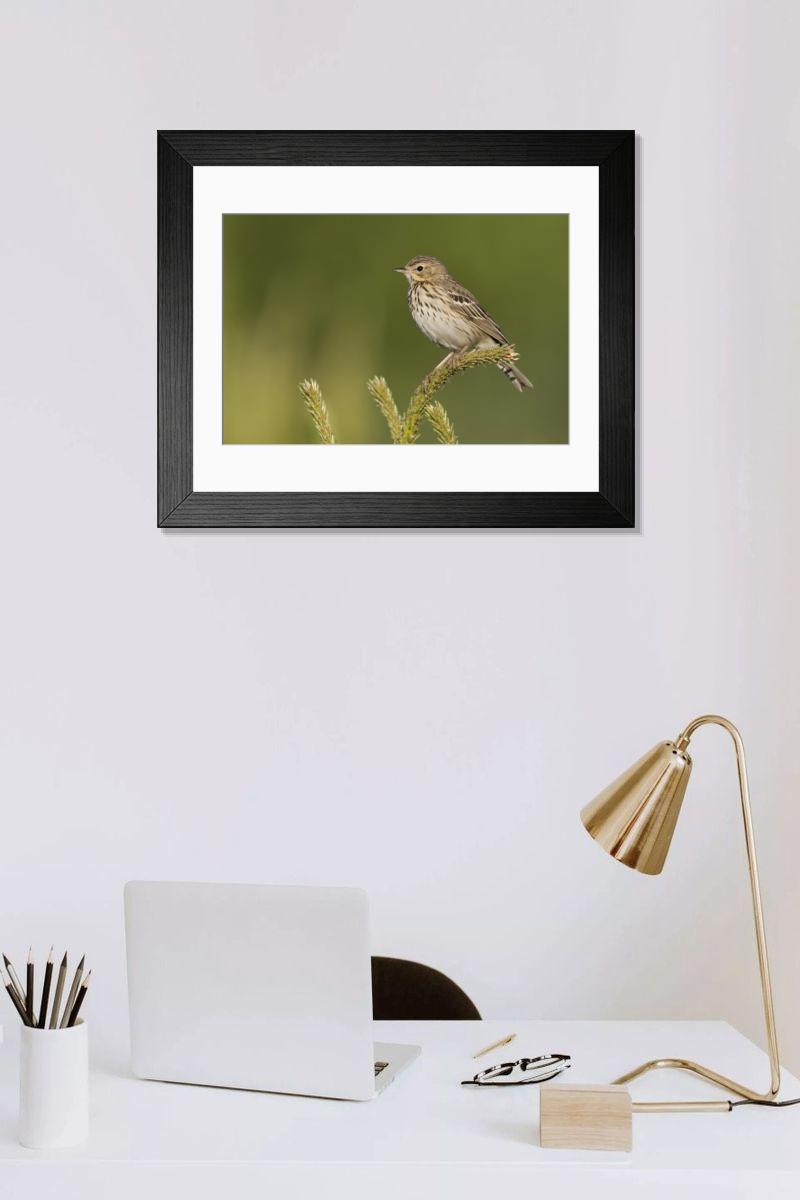 Shown hanging in a room: Modern 14"x12" (36x31cm)