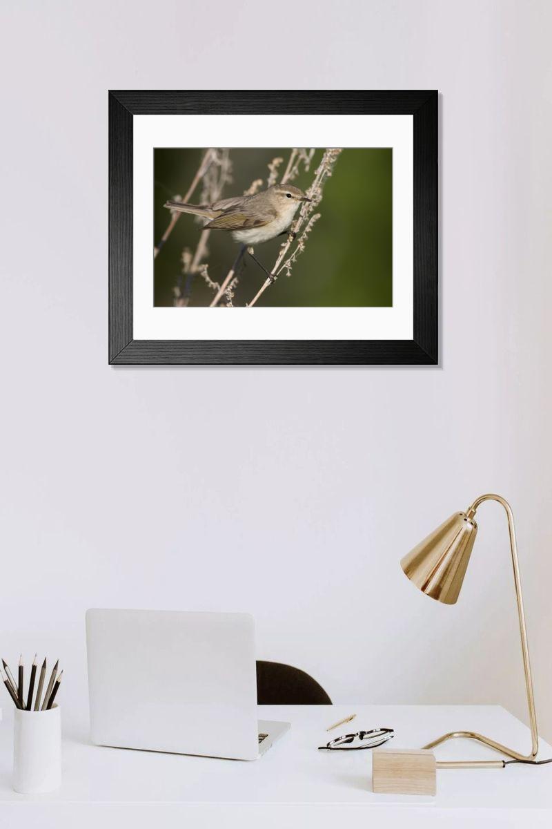 Shown hanging in a room: Modern 14"x12" (36x31cm)