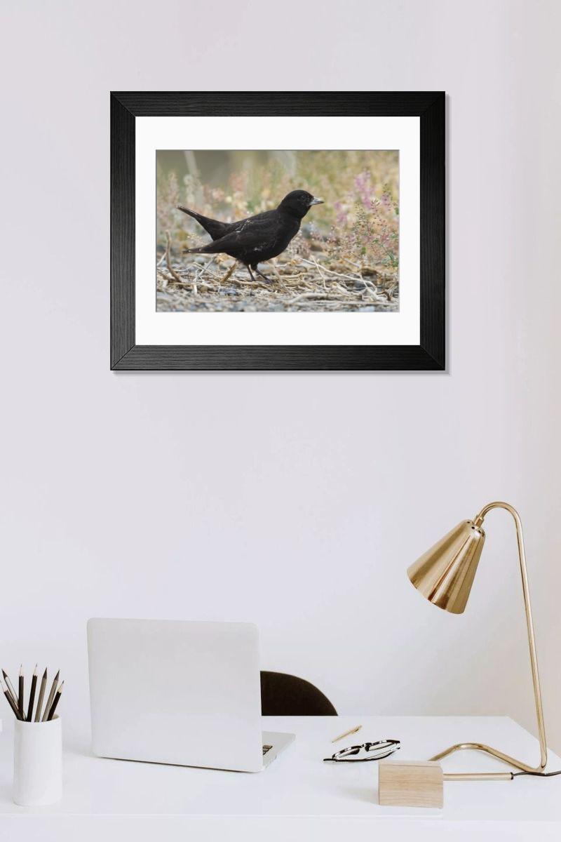Shown hanging in a room: Modern 14"x12" (36x31cm)