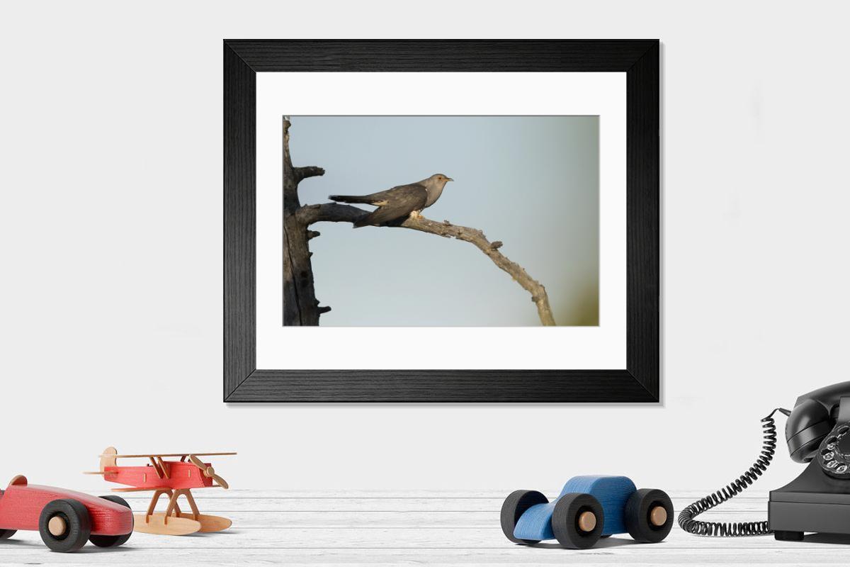 Shown hanging in a room: Modern 14"x12" (36x31cm)