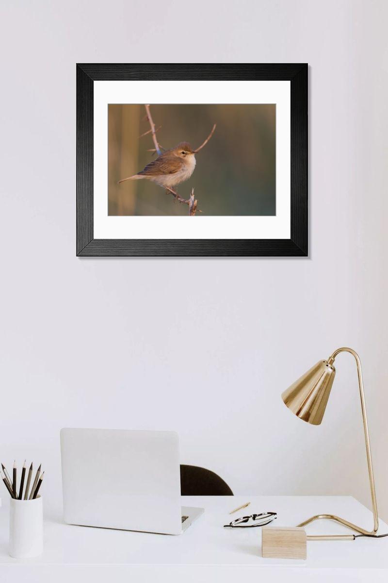 Shown hanging in a room: Modern 14"x12" (36x31cm)