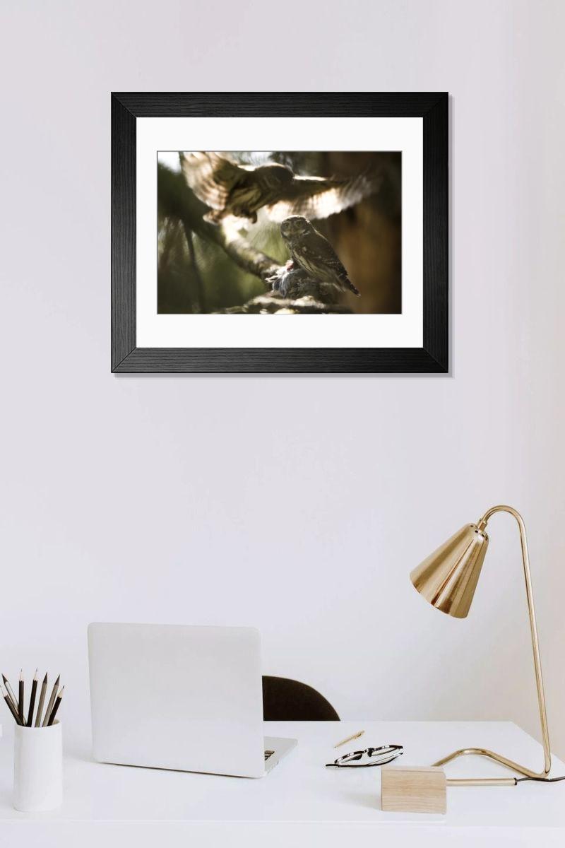 Shown hanging in a room: Modern 14"x12" (36x31cm)