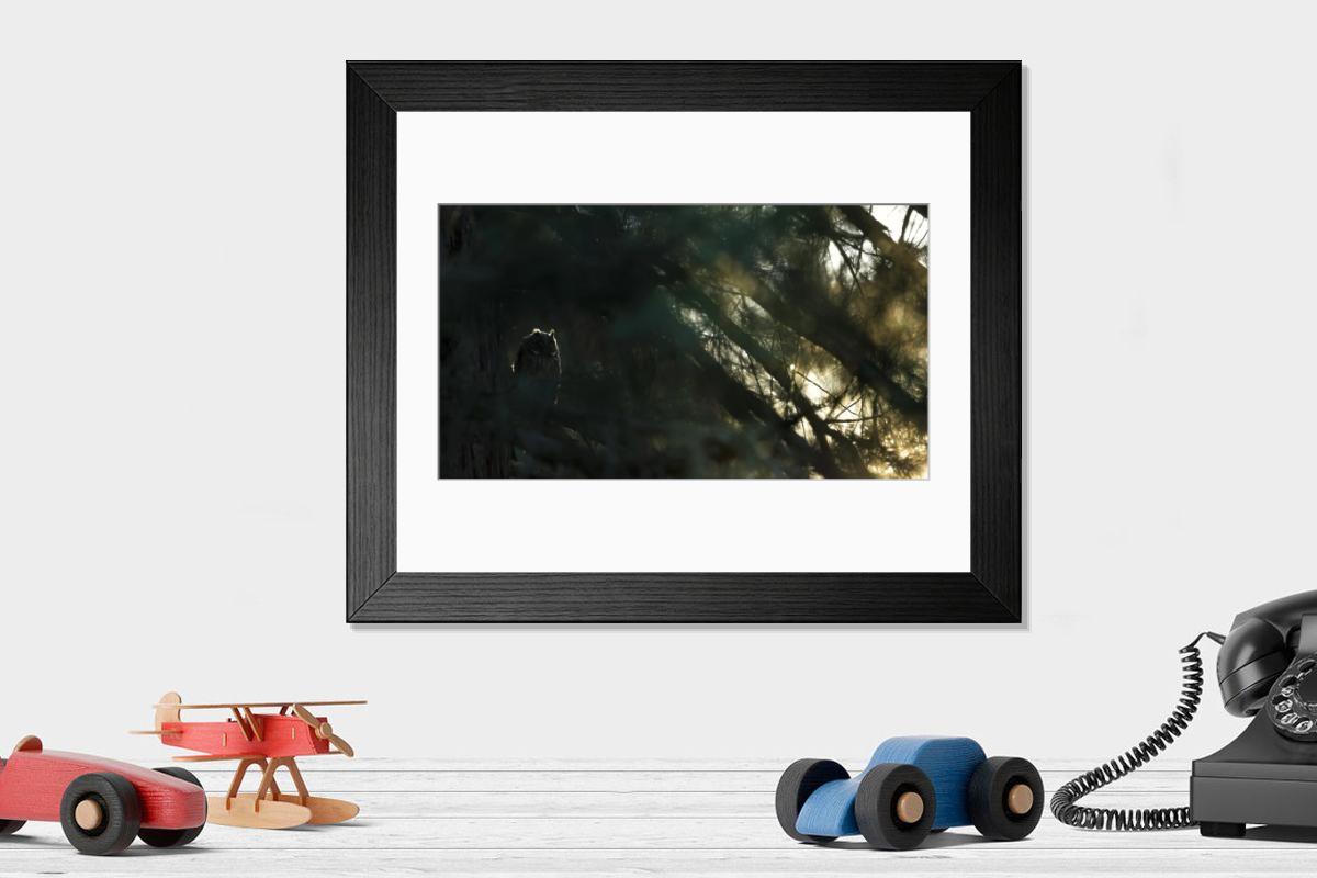 product preview 0
