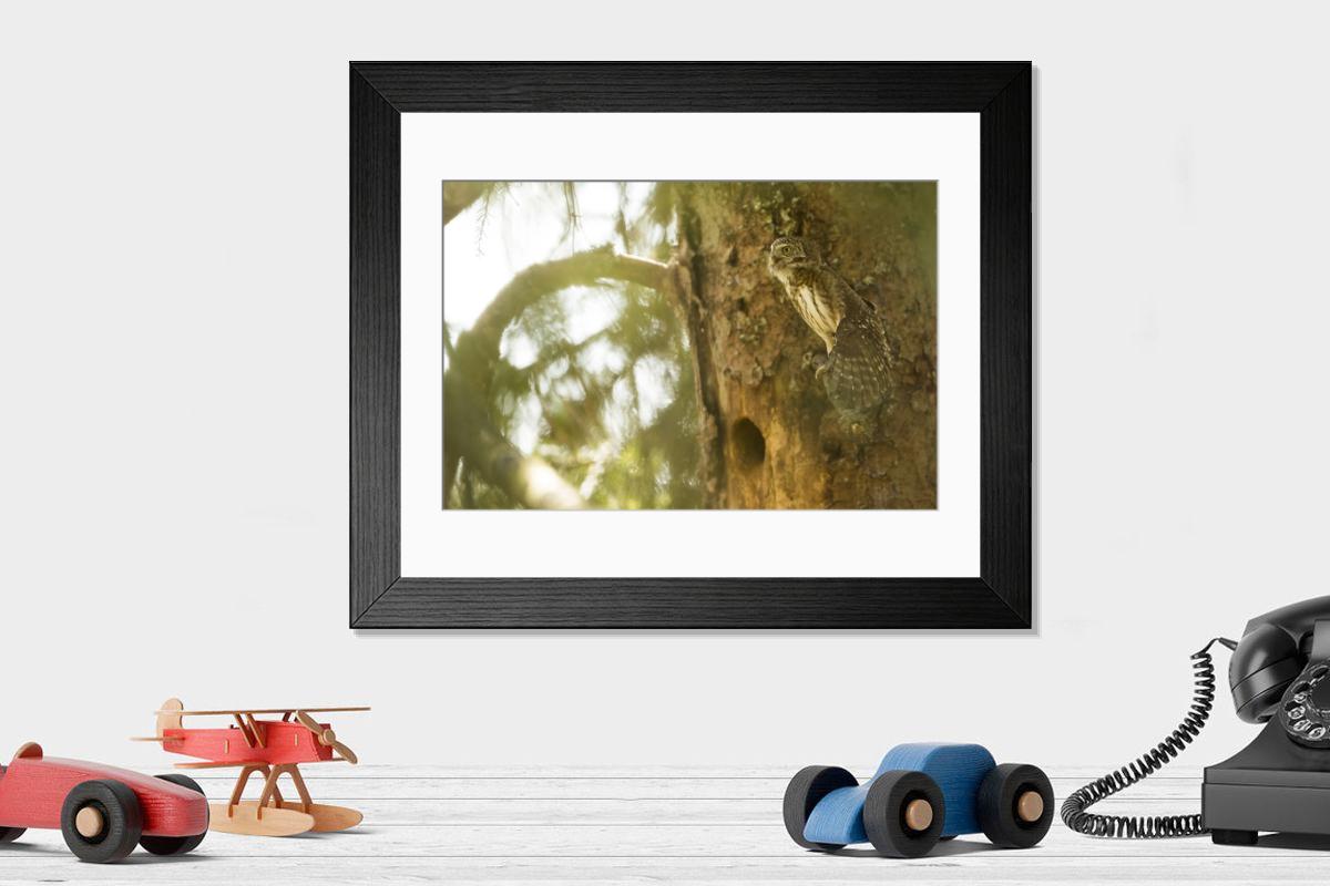 product preview 0