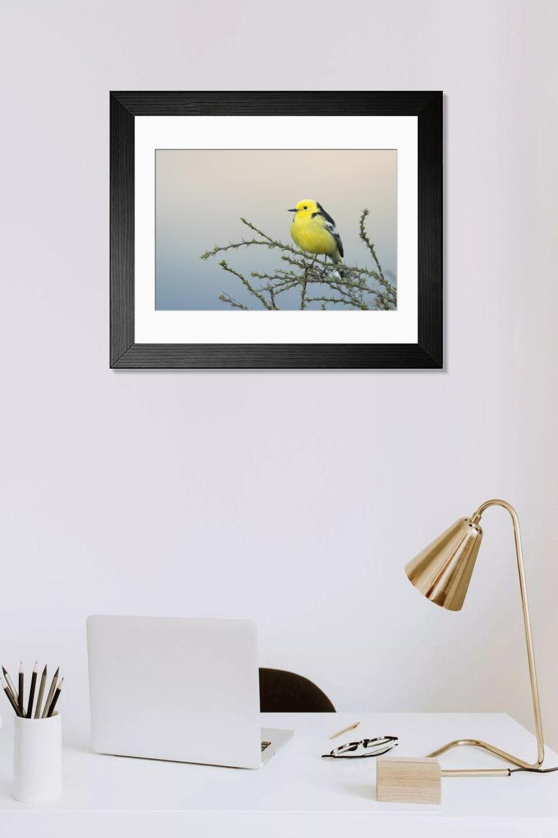 Shown hanging in a room: Modern 14"x12" (36x31cm)