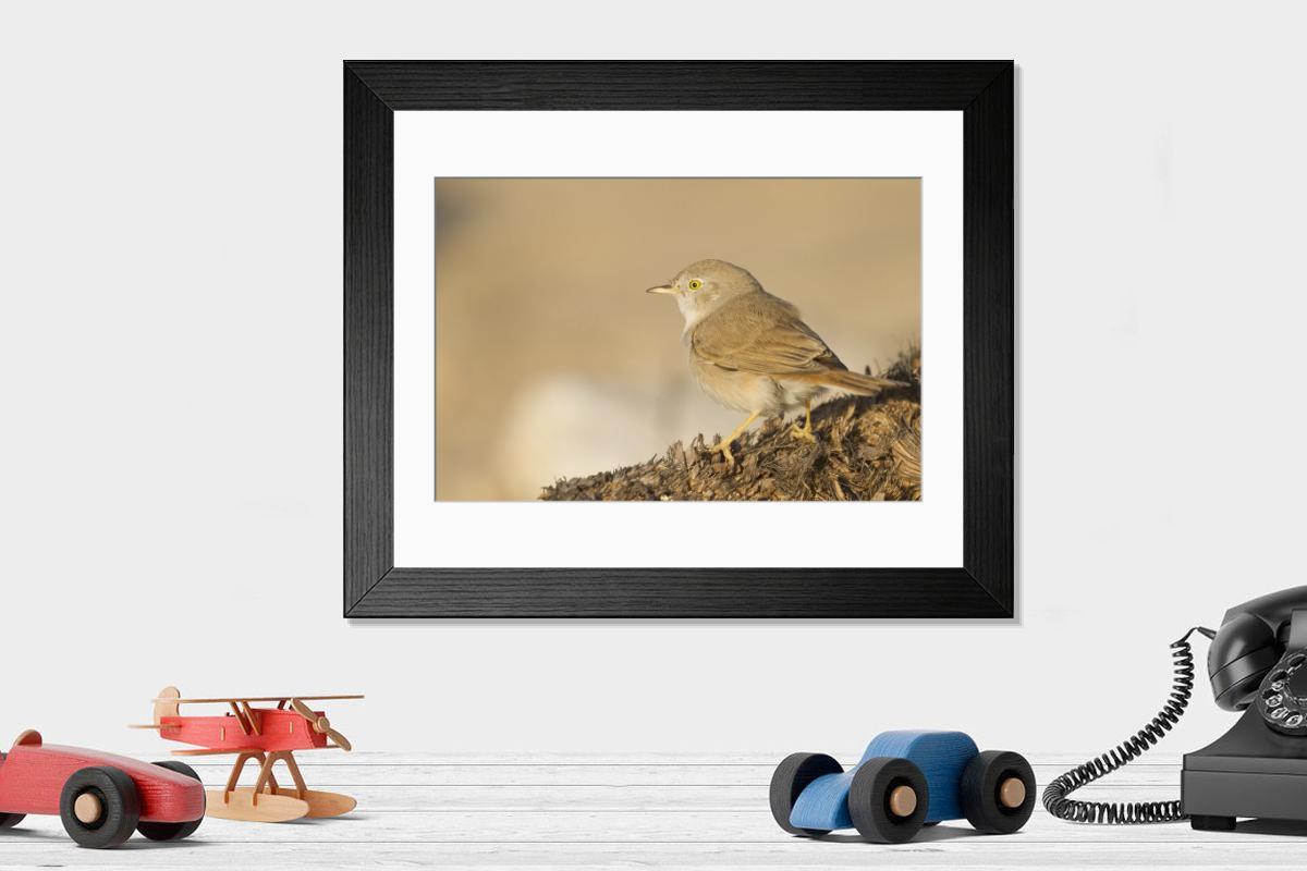 Shown hanging in a room: Modern 14"x12" (36x31cm)