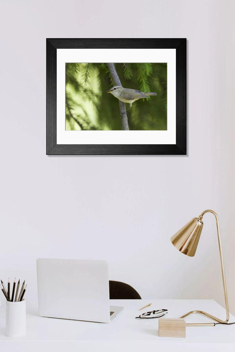 product preview 0