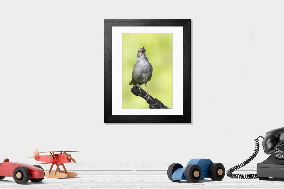 Shown hanging in a room: Modern 14"x12" (36x31cm)