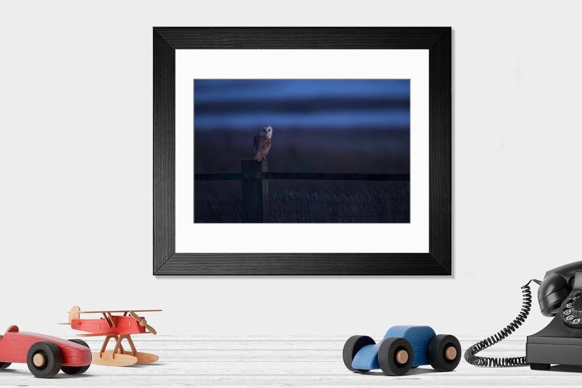 product preview 0